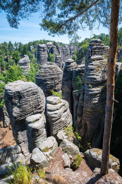 istock Dramatic landscape of Prachov Rocks Czechia 1596252960
