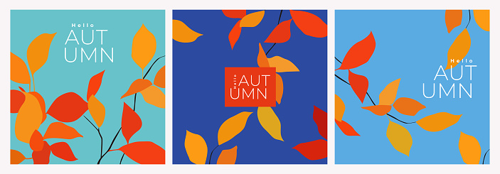 Trendy minimal autumn set of banner, card, poster or cover with bright and beautiful autumn leaves on blu sky background. Contemporary art style. Fall template for advertising, web, social media