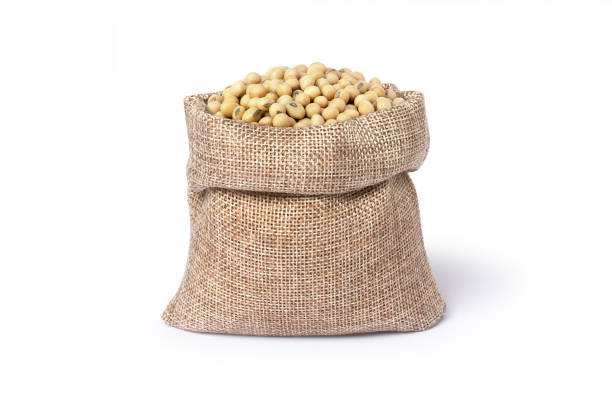 istock Soybean in sack bag isolated on white 1596328044