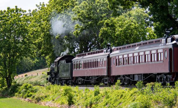 istock an old fashioned train with smoke coming out of it's engines and trees behind 1596351528