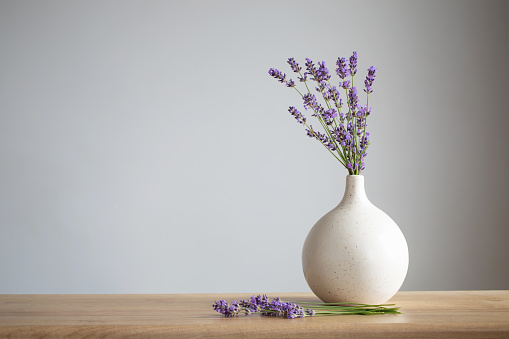 lavender flowers in ceramic vase on gray background
