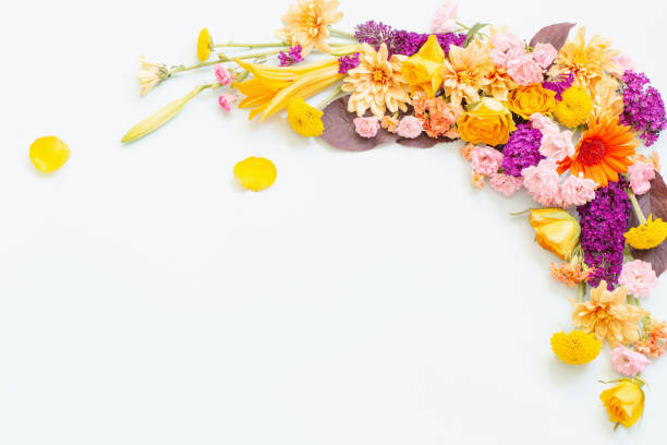 istock beautiful summer flowers on white   background 1596386613