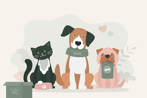 Adorable pets holding empty bowls. Volunteering and assistance to animals. Food donation for pets. Feed for homeless dogs and cats. Nutrition in big package. Flat vector illustration