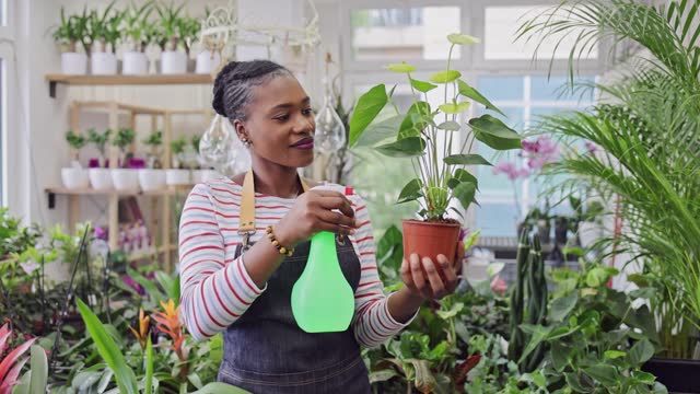 Female flower shop owner of Black ethnicity spraying plant with water
