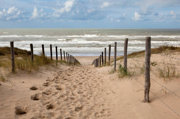 istock Dunes in Holland and a beach path to the sea 1596406861