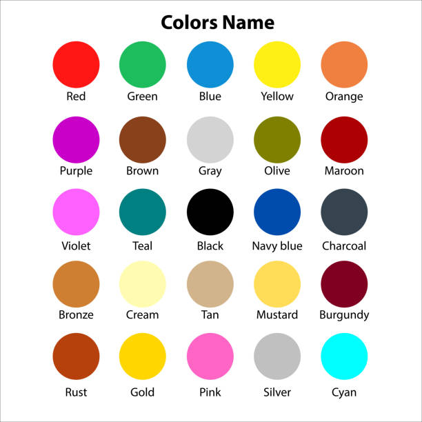 Colornames R Pallets 350+ R Color Palette Stock Illustrations, Royalty-Free Vector Graphics ...