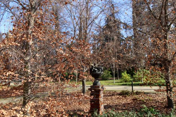 istock Public park in autumn time. 1596420864