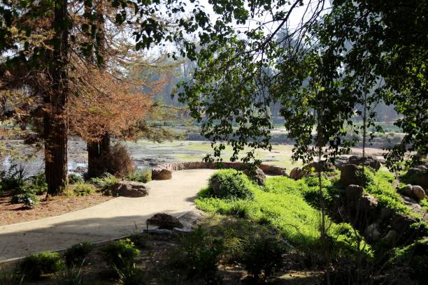 istock Outdoor scenery with public park 1596420865