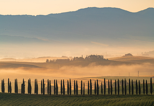 The rolling hills and green fields at sunrise, Tuscany, Italy