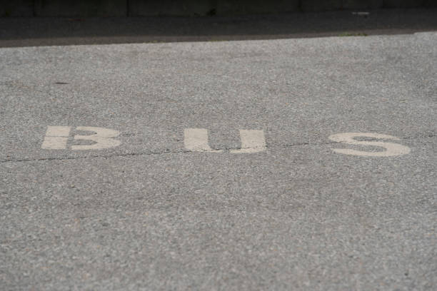 istock bus lane marking on the street 1596455179