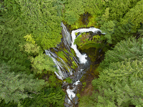 Seen from a bird's eye perspective, the impressive Panther Creek Falls flows through the Gifford Pinchot National Forest in Washington. This beautiful area is not far from the Columbia River Gorge.