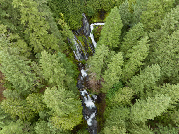 вид с воздуха на водопад пантер-крик в национальном лесу гиффорд-пинчот, штат вашингтон - wind стоковые фото и изображения