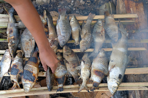 Some of the fish was grilled over the coals of a burning fire at the camp