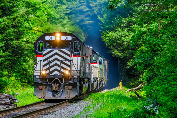 Freight train with four diesel locomotives emerges from a tunnel in dense forested hilly area with a trail of blue exhaust smoke. Local railroad infrastructure provides transport links for business and industry. Logos, paint scheme have been edited and the locomotive number is fictitious.
