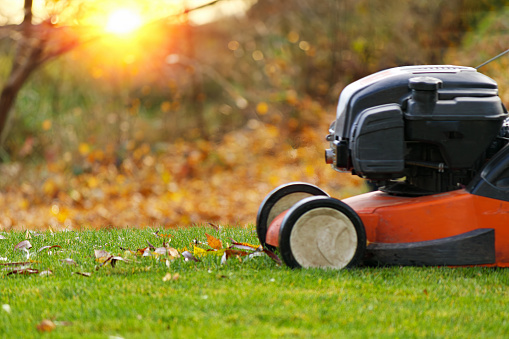 This is a close-up image of an automatic lawn mower (or robot) mowing the grass in the garden. Only the robot mower is seen against the green gass background.