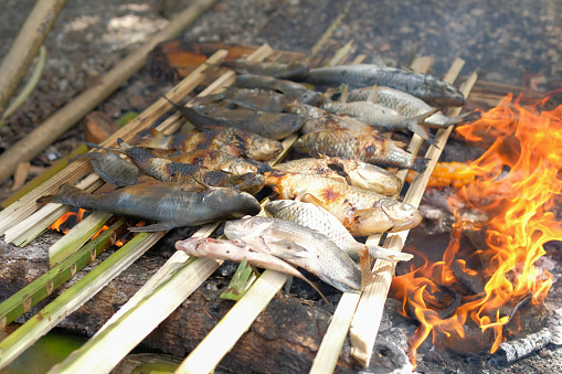 Some of the fish was grilled over the coals of a burning fire at the camp