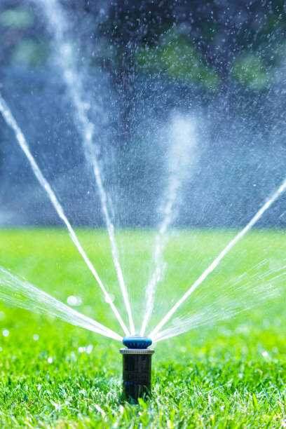 istock Irrigation system in home garden. Automatic lawn sprinkler watering green grass. Selective focus. 1596508070