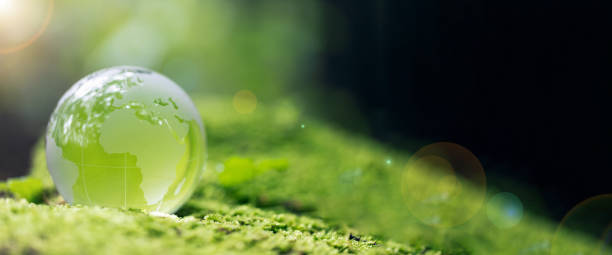 istock Close up of crystal globe resting on grass in a forest - environment concept 1596515088