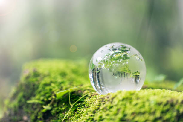 istock Close up of crystal globe resting on grass in a forest - environment concept 1596519361