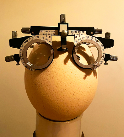 Ostrich egg with opticians glasses