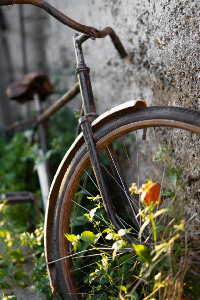 istock old retro bicycle in the backyard near the shed 1596530649