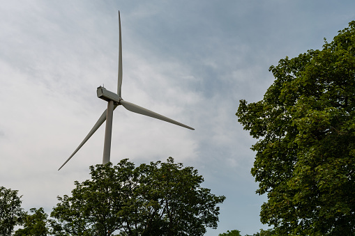 Wind turbine with trees