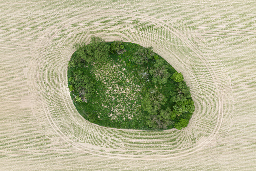 Village Country Farming Shapes In Field Aerial Drone Photo. Trees shape in field in Poland