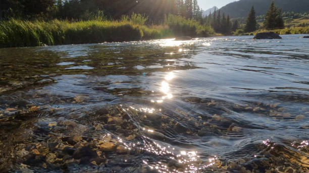 istock Scenic view of mountain creek 1596570411