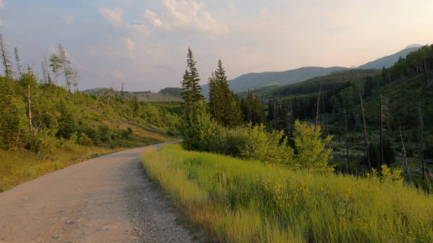 istock Scenic view of driving down mountain road 1596570412