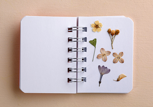 Mini herbarium on spiral notebook with copy space