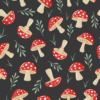 Vector Seamless Pattern with Hand Drawn Cartoon Flat Mushrooms on Black Background. Amanita Muscaria, Fly Agaric Illustration, Mushrooms Collection. Magic Mushroom Symbol, Design Template.