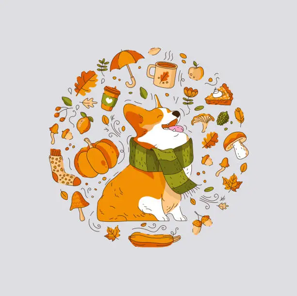 Vector illustration of Happy Corgi Dog in a scarf enjoys Fall. A Set of Autumn Elements in circle. Vector illustration