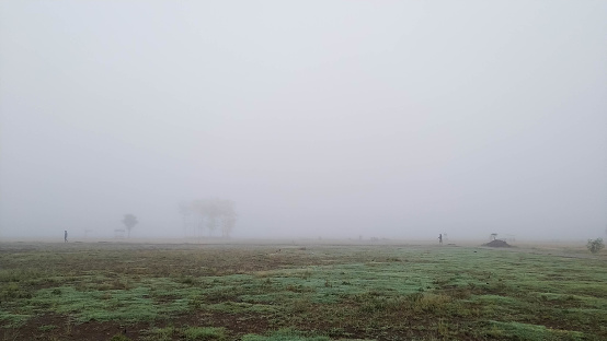 The appearance of thick fog on fields and paths