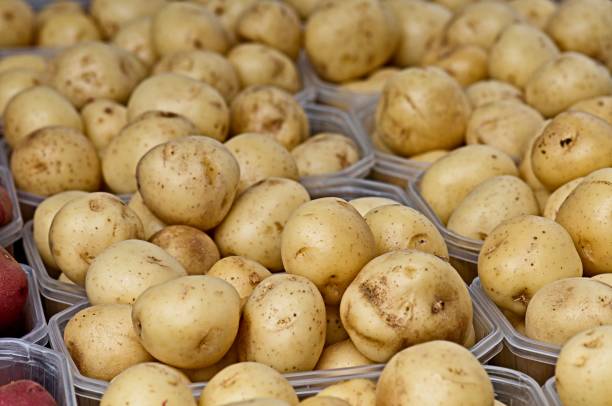 istock Potatoes on Display at a Farmer's Market 1596654840
