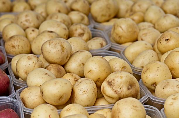 istock Potatoes on Display at a Farmer's Market 1596655405