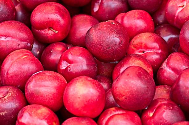 istock Plums on Display at a Farmers Market 1596660256