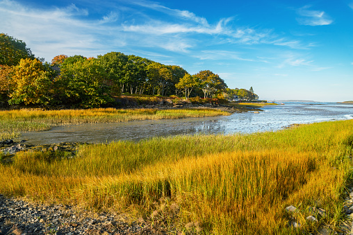 the view of the coastline during the fall in Cape Porpoise, Maine USA.