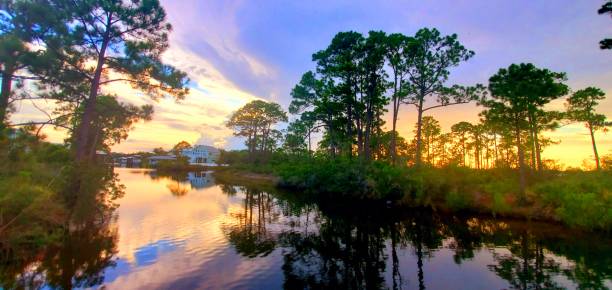 istock Summer Sunset on the Water 1596714684