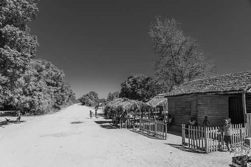 Morondava, Madagascar - May 29.2023: Local people and small wood huts near the avenue of Baobab trees allee near Morondava, black white