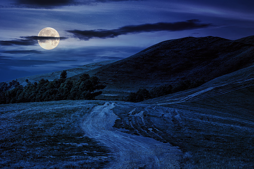 early autumn mountain landscape with path through the hillside at night. wonderful countryside scenery in full moon light