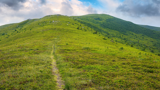steep path up the hill. carpathian mountain landscape in summer. hard way to success concept
