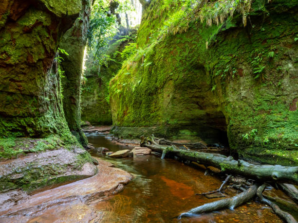 istock The Devil's pulpit in Finnich, Scotland 1596771931