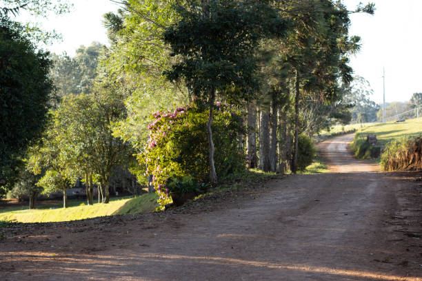 istock Road in rural area 1596789201