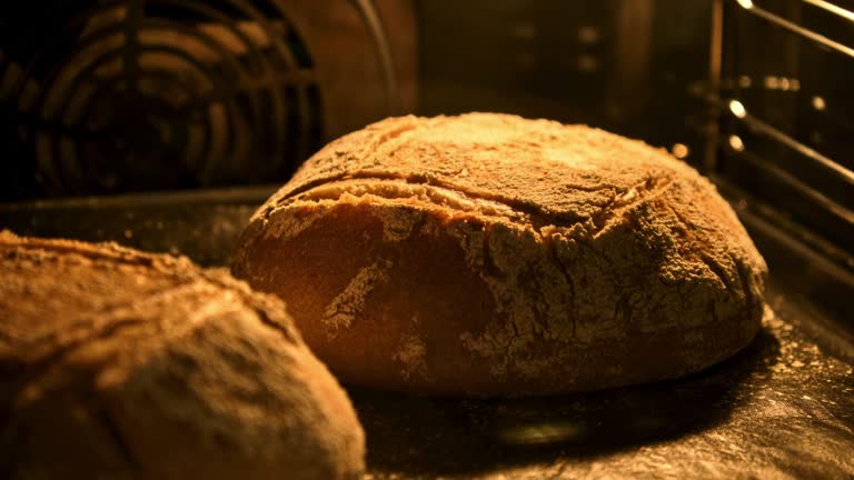 Homemade bread baking in oven. Organic fresh bread. Timelapse. Loaf is raised