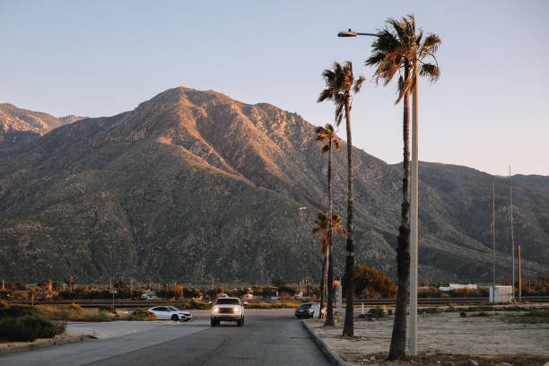 Residential area in California, near Palm Springs, with palm trees and mountains in the background.