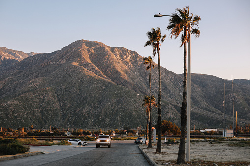 Palm trees and desert mountain in Palm Springs, California