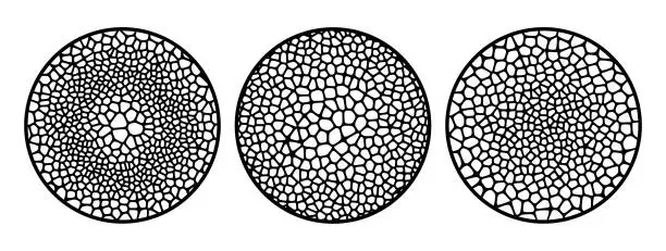 Vector illustration of Organic cells radial pattern set. Vector grid mesh elements for design.