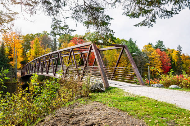 istock Steel bridge spanning a river in a forested setting in autumn 1596986637