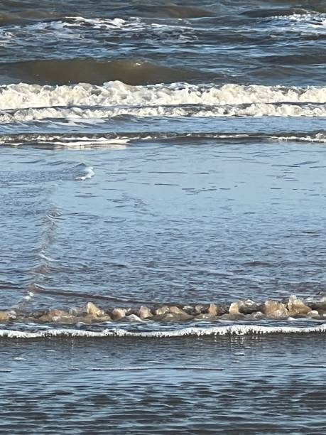 Waters edge with Ocean and Neach