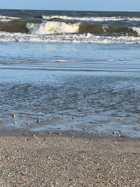 Waters edge with Ocean and Neach